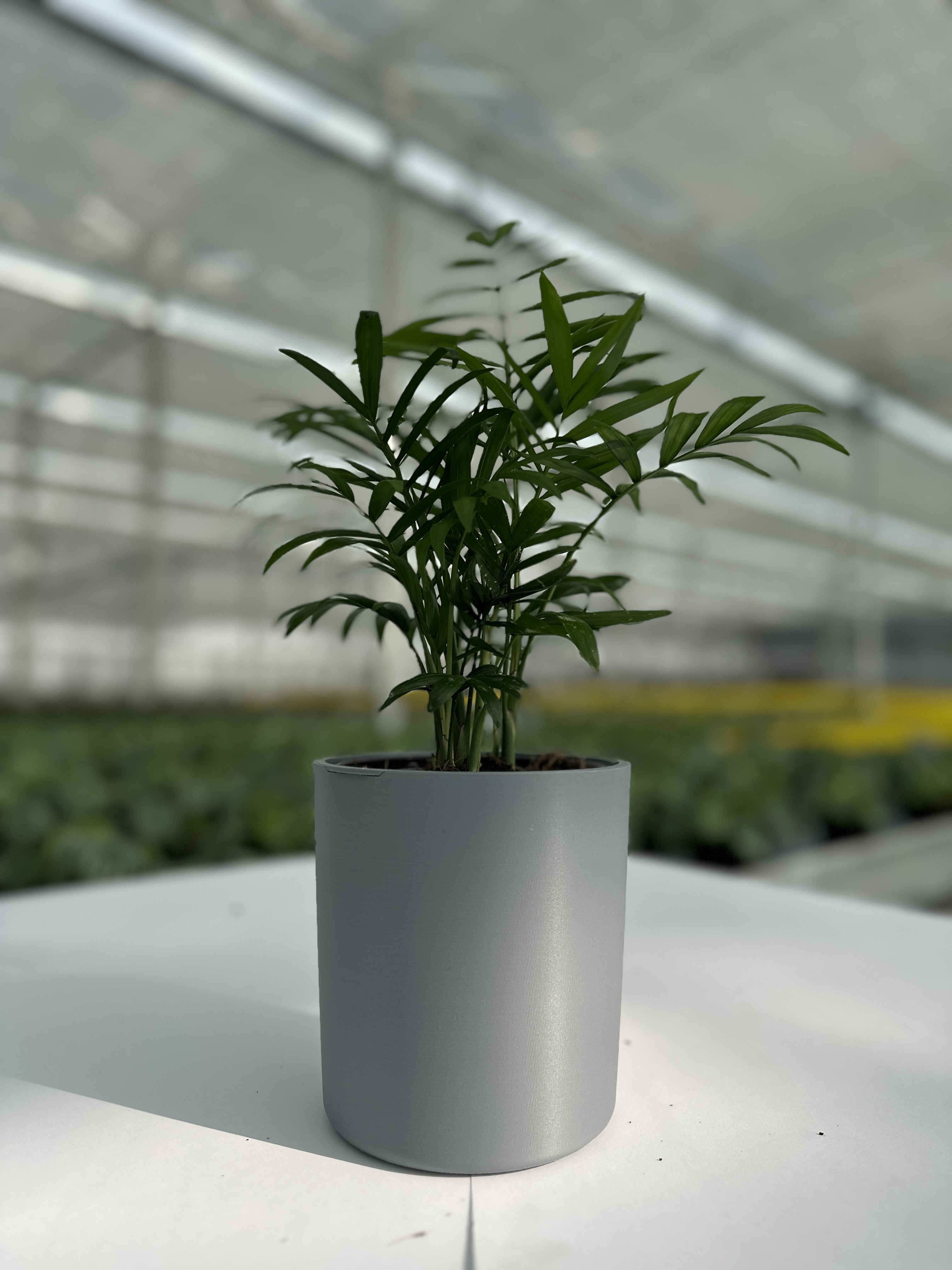 Waterbuddy concept - self-watering pot prototype